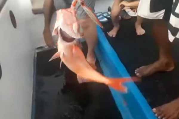 Нуса Лембонган