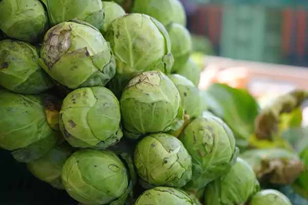 Поради, які стануть у пригоді при заморожуванні та приготуванні брюссельської капусти: нюанси, про які слід знати