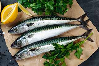 Скумбрія в меду: простий рецепт засолюва...