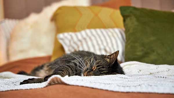 Тактильний текстиль: дотик як частина дизайну