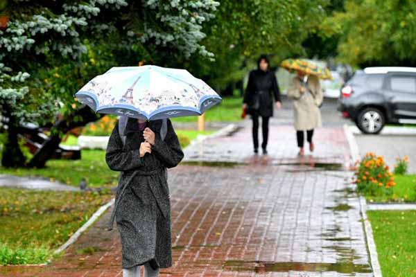 парасолька парасолька