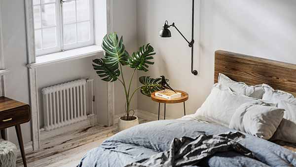 Біофільний дизайн: природа як ліки від стресу