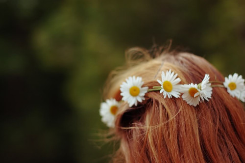 Квіток ромашкових настій