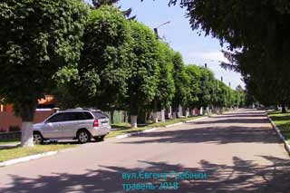 Роздуми – «Які красиві каштани!»