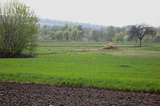 До уваги власників земельних часток (паїв)